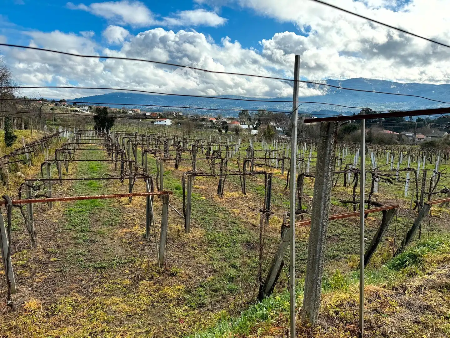 Rural land for sale in Arbo, imagen 5