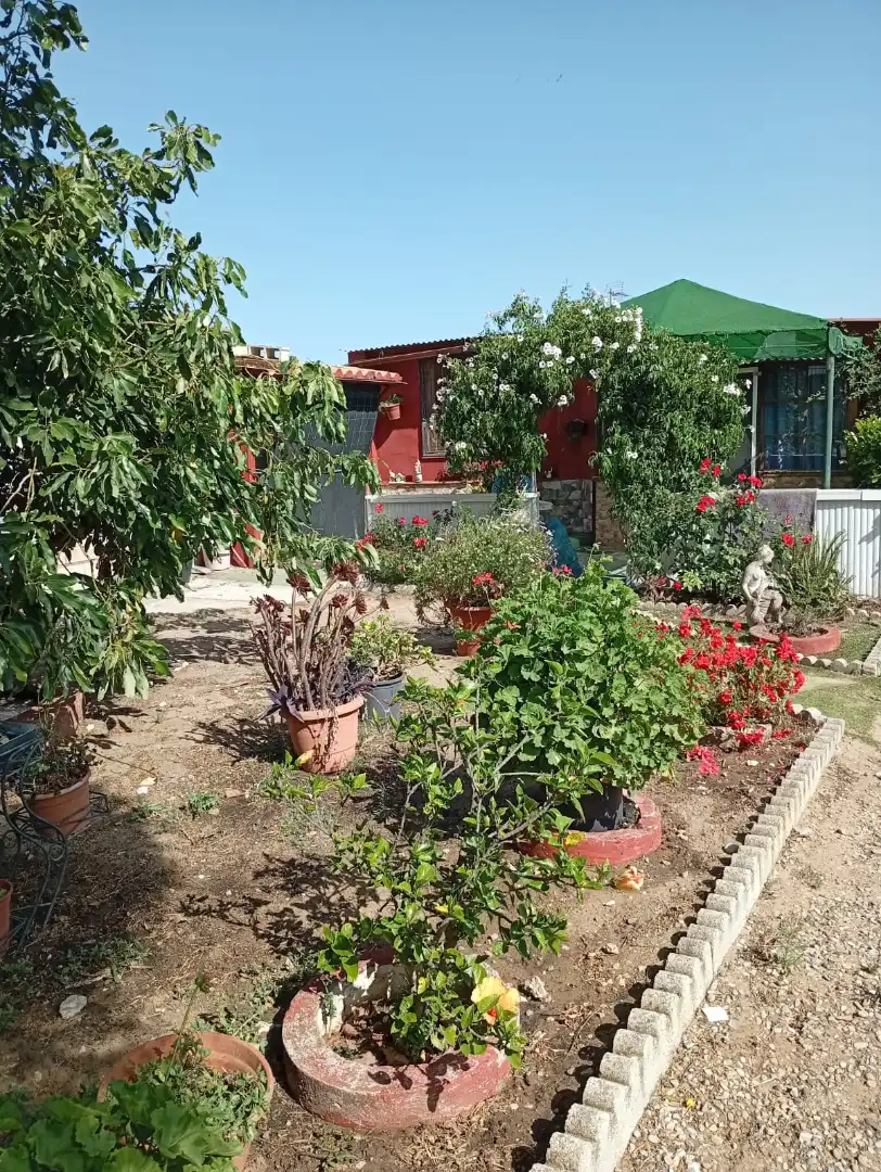 Jardín de Finca rústica de alquiler en Medina Sidonia con Jardín privado, Terraza y Amueblado