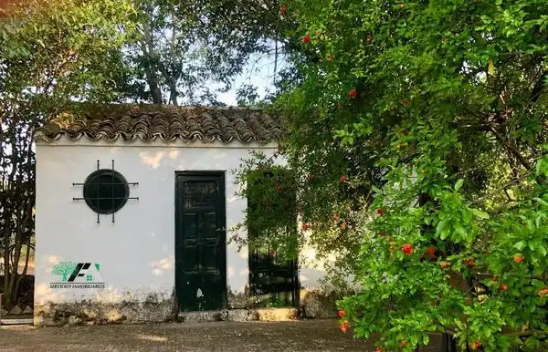 Casa rustica con piscina in vendita a Baeza, imagen 27