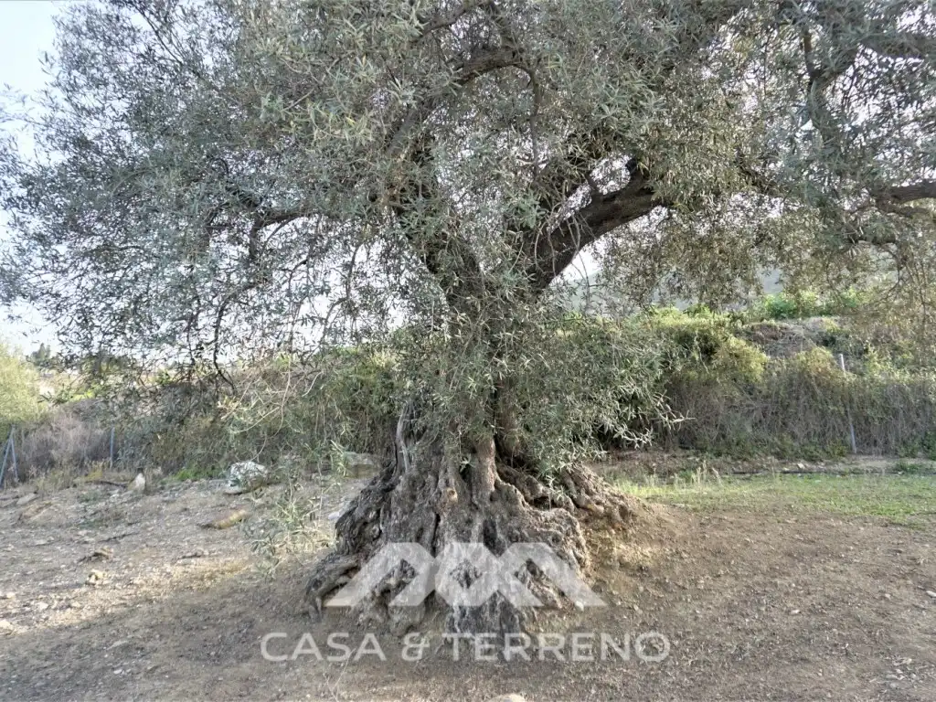 Casa en venta en Alcaucín, imagen 11