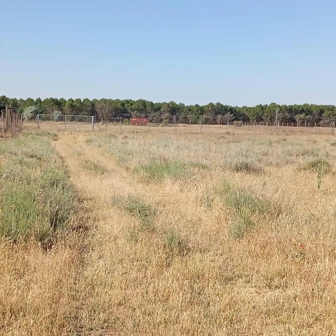 Terreny rústic en venda a Camino del Cuadrado 50, imagen 6