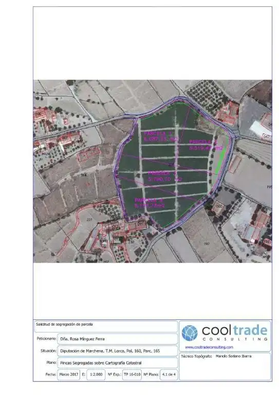 Lands and plots for sale in Santa Gertrudis, imagen 7