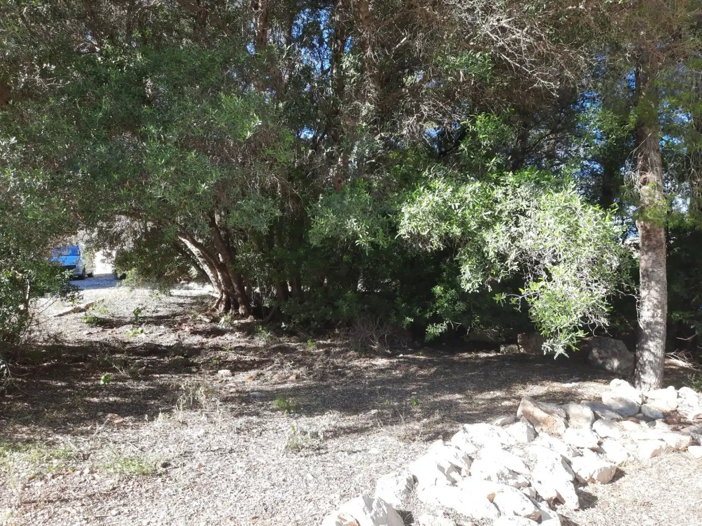 Grundstücke und Bauplätze zum Verkauf in El Montgó, imagen 12