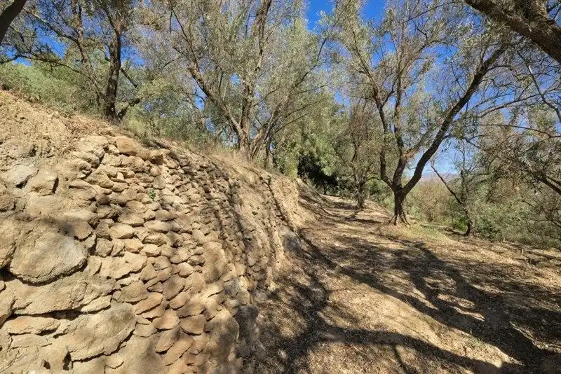 Terreno rustico in vendita a El Pinar, imagen 21