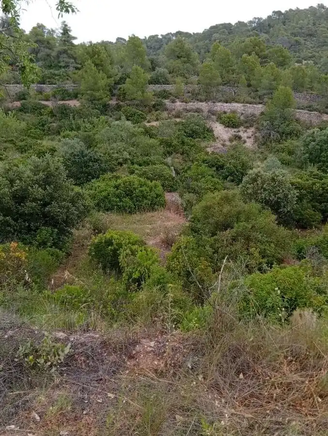 Piso en venta en Corbera d'Ebre, imagen 5