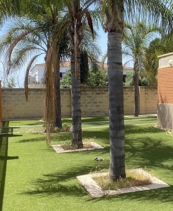 Villa con piscina in vendita a Regueral - Prat d'en Forés, imagen 17