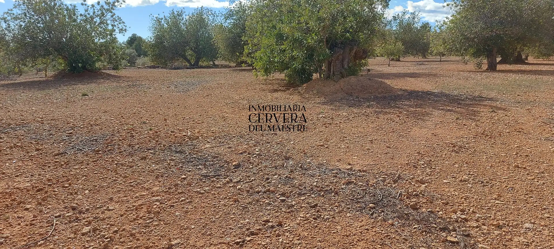 Terreno rustico in vendita a Partidas de interior - Zona Rústica, imagen 13