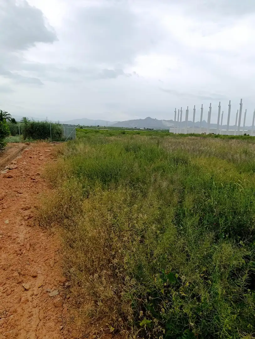 Industrial land for sale in Fortuna