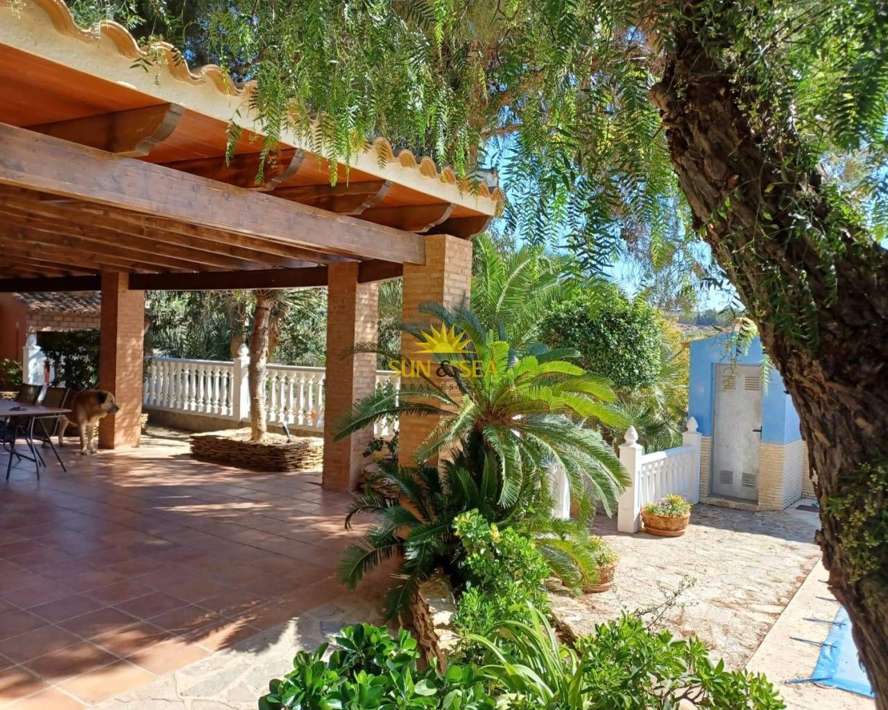 Garden of House or chalet to rent in Molina de Segura  with Heating, Private garden and Terrace