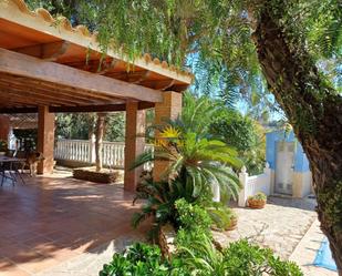 Jardí de Casa o xalet de lloguer en Molina de Segura amb Calefacció, Jardí privat i Terrassa
