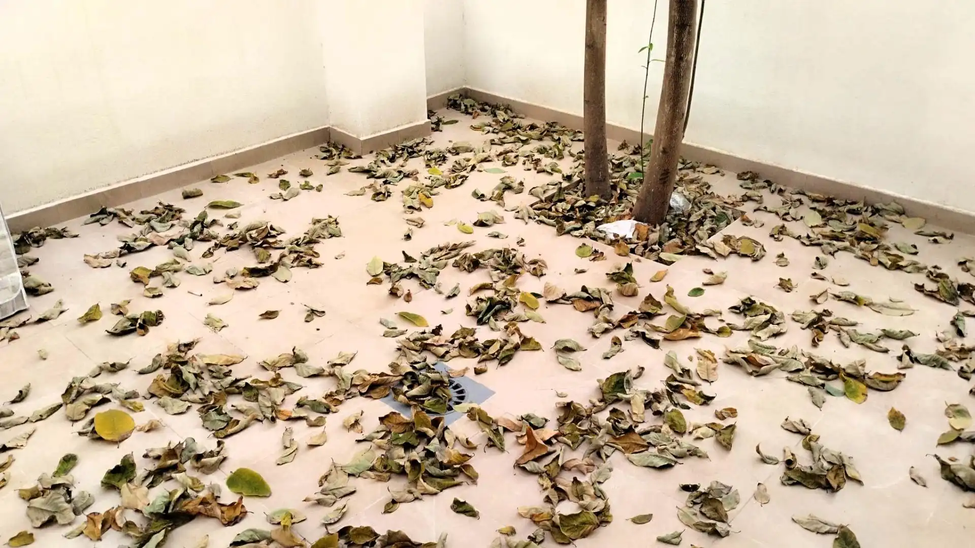 Jardí de Planta baixa en venda en Xirivella amb Aire condicionat, Terrassa i Moblat