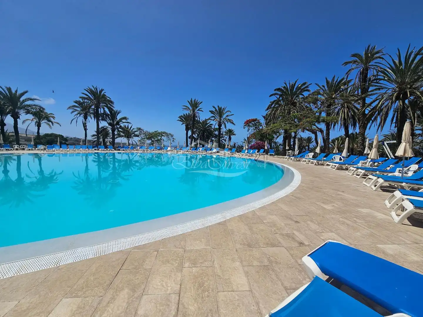 Piso con piscina en venta en LG MARAZUL, imagen 3