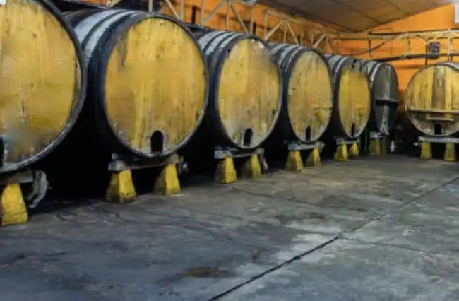Local comercial en alquiler en Usurbil, imagen 5