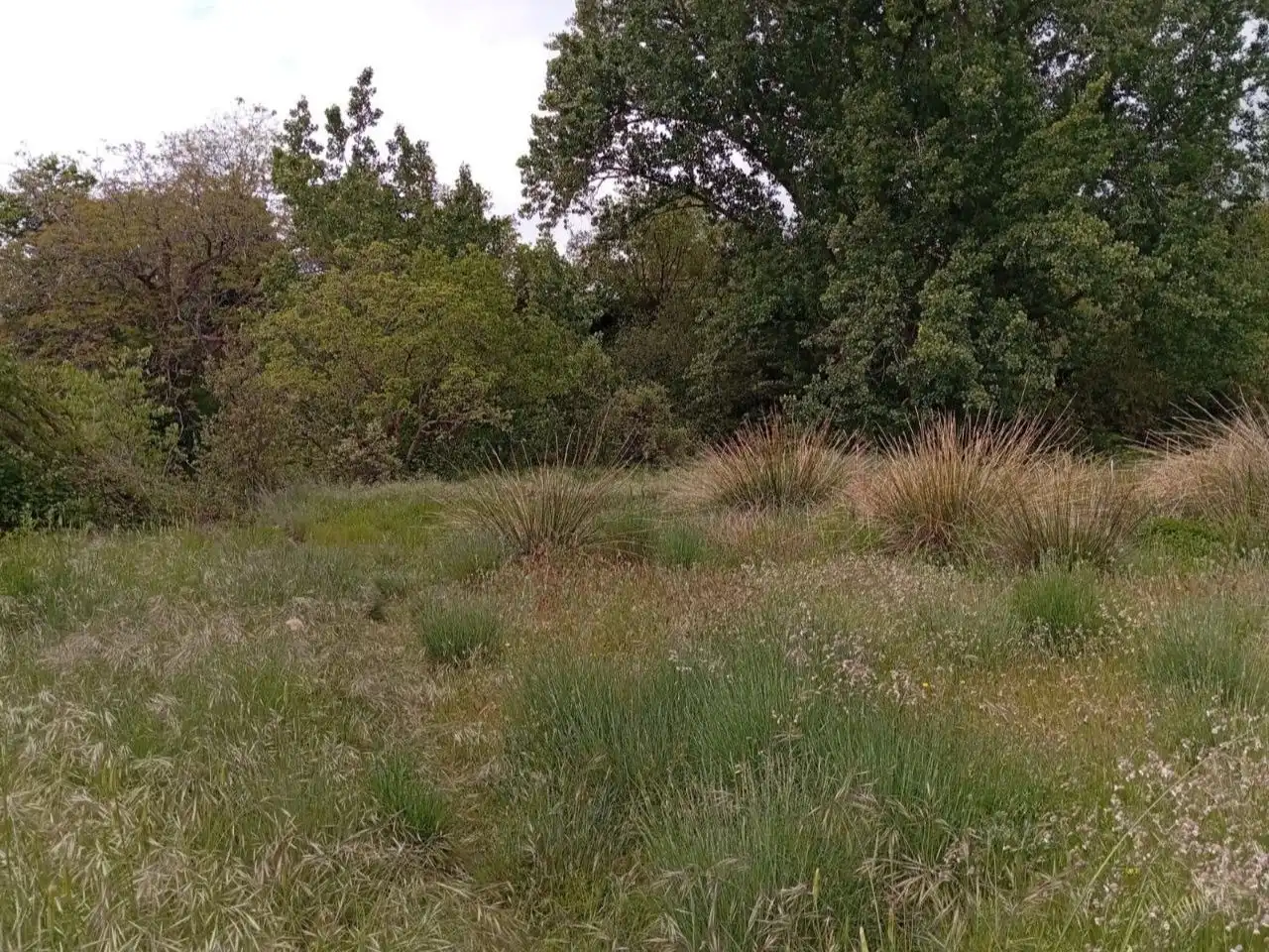 Terreno en venta en Pórtugos