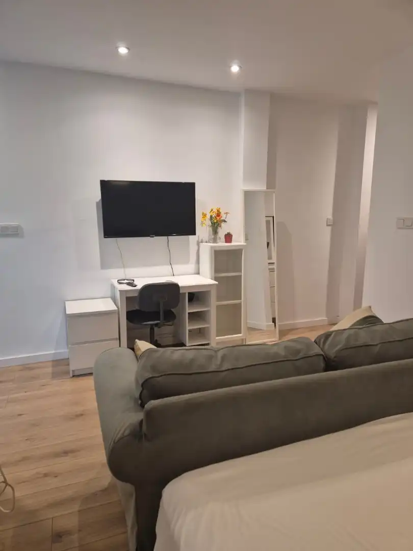 Sala d'estar de Estudi en venda en Alicante / Alacant amb Calefacció i Moblat