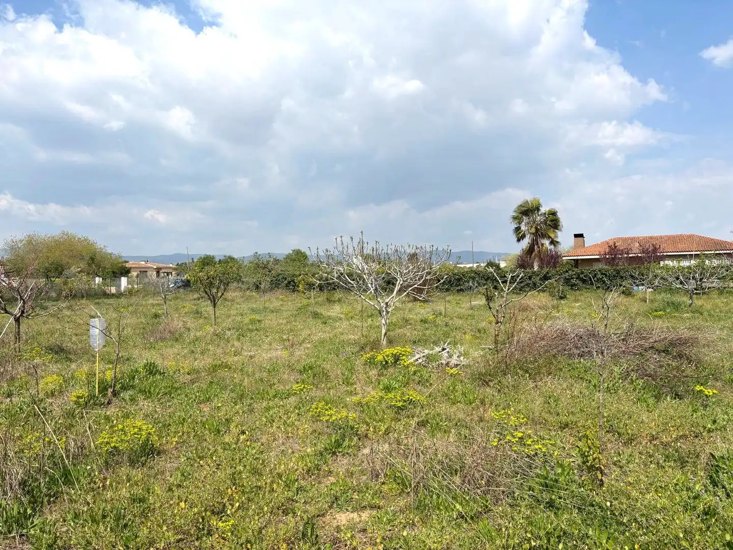 Rural land for sale in Santa Oliva, imagen 11