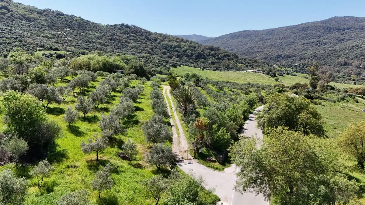 Casa rústica en venda a Gaucín, imagen 18