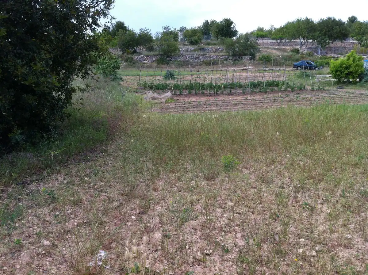 Terrenys i solars en venda a CASTELL DE MONTORNES 1, imagen 11