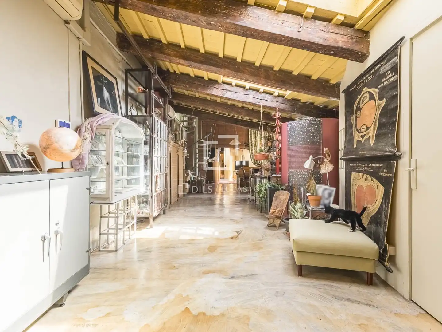 Loft zum Verkauf in Ciutat Vella, imagen 23