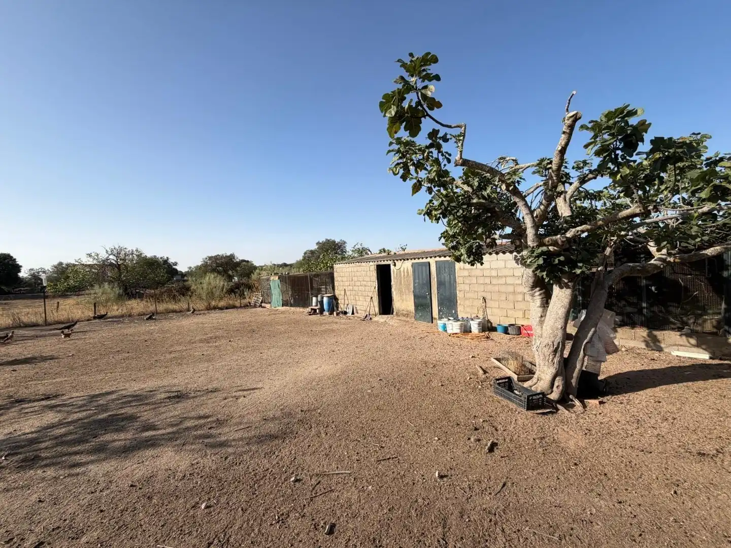 Casa en venta en Arroyo de la Luz, imagen 28