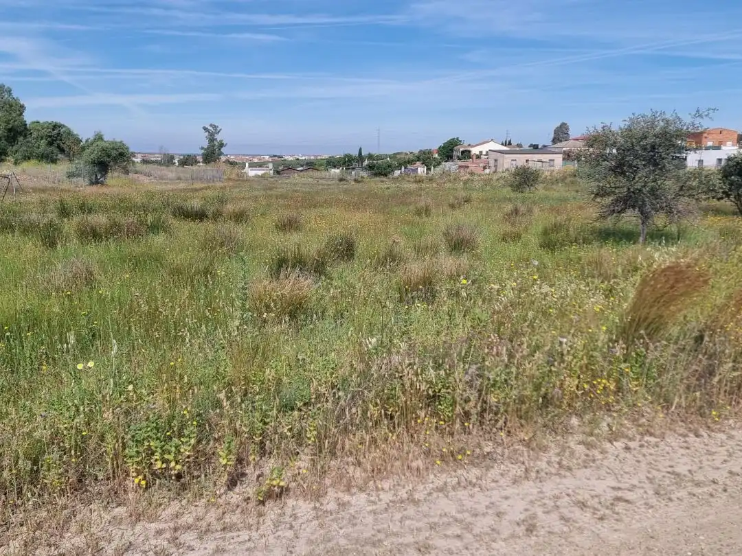 Terreni e lotti in vendita a Poligono Dehesa del Rey 220, imagen 4