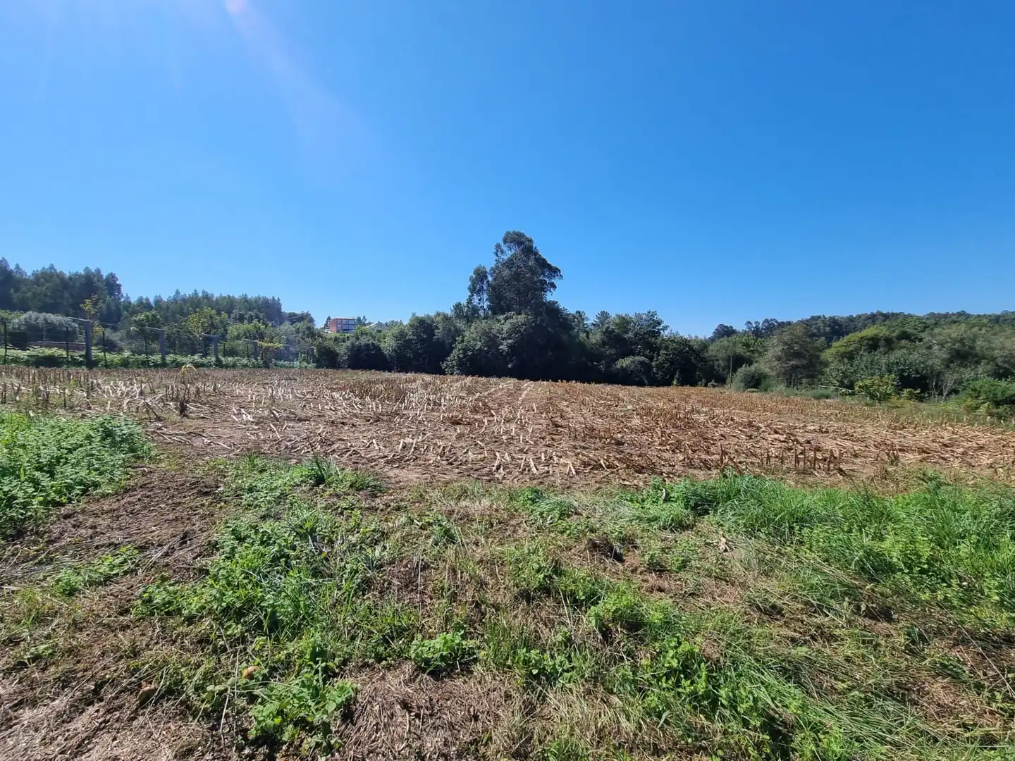 Terreni e lotti in vendita a Vilarmaior, imagen 11