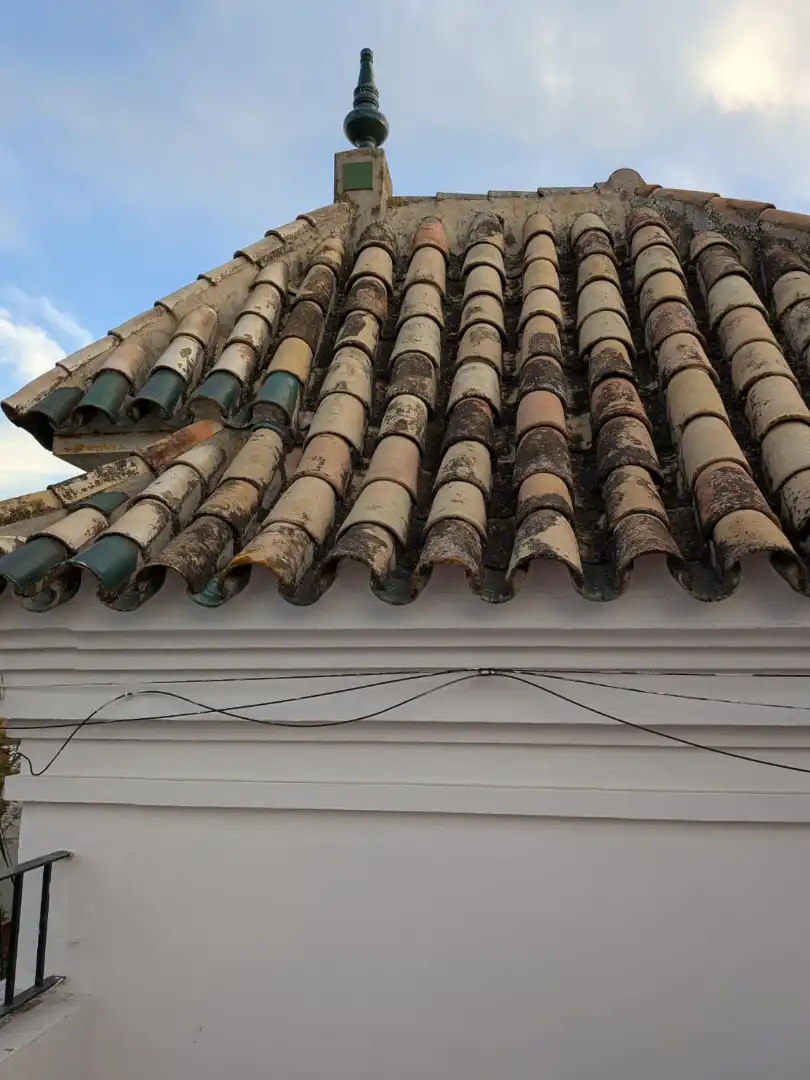 Exterior view of Houses for rent in Sevilla  with Pets allowed