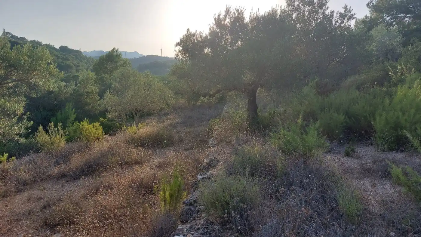 Terreno rustico in vendita a El Perelló, imagen 4