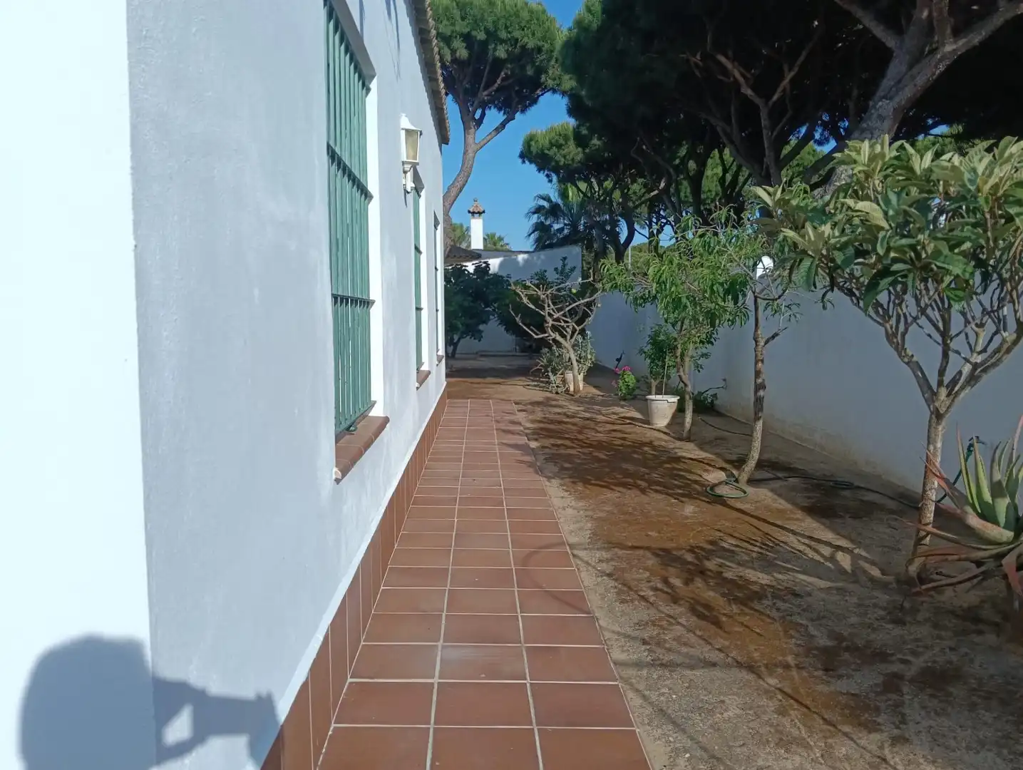Jardí de Casa o xalet en venda en Chiclana de la Frontera amb Jardí privat