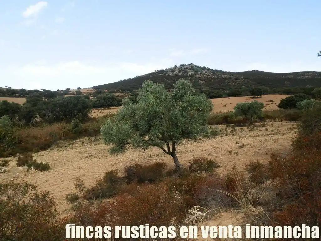Terreni e lotti in vendita a Peñalsordo, imagen 8