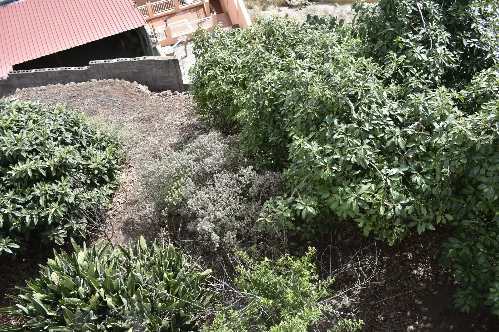 Casa adosada en venda en Firgas amb Jardí privat, Terrassa i Balcó