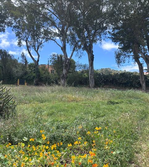 Photo 2 of Residential for sale in Portada Verde - Lomo Espino - Guanche, Santa Brígida