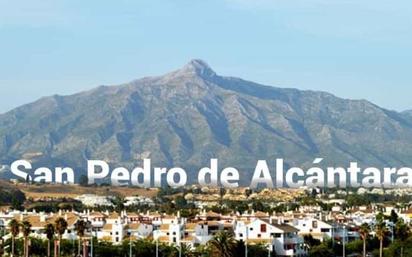 Vista exterior de Planta baixa en venda en Marbella amb Aire condicionat, Traster i Moblat