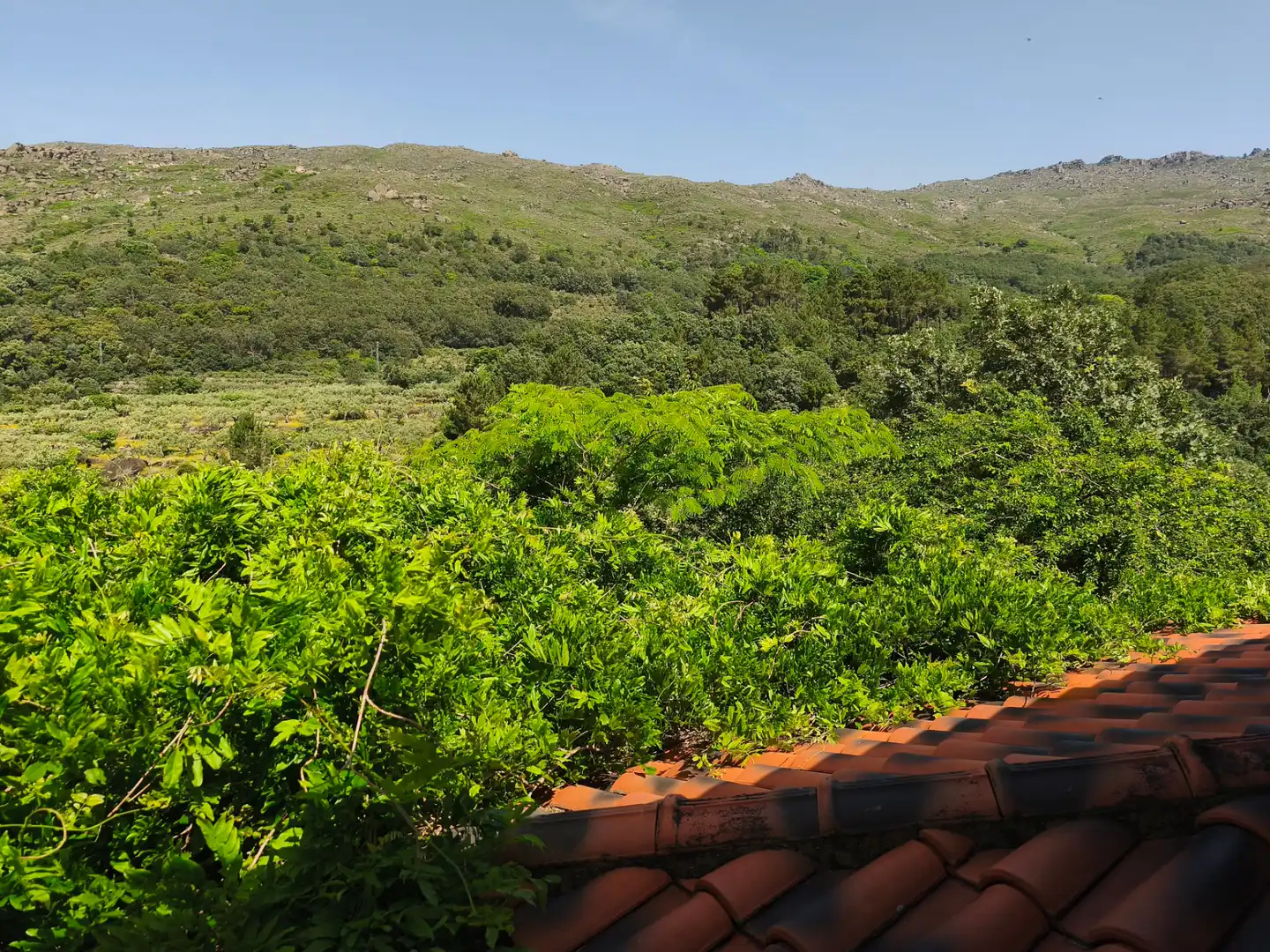 Casa o xalet en venda a Camino del Convento, 41, San Martín de Trevejo