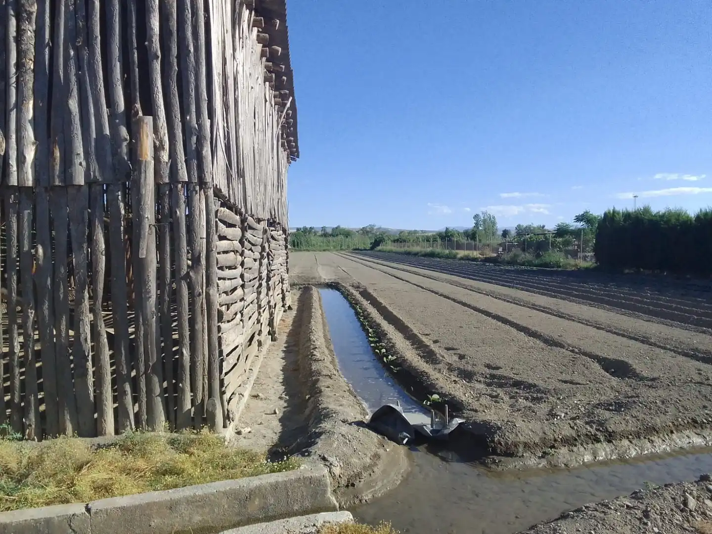 Terrains et parcelles à vendre à Fuente Vaqueros, imagen 4