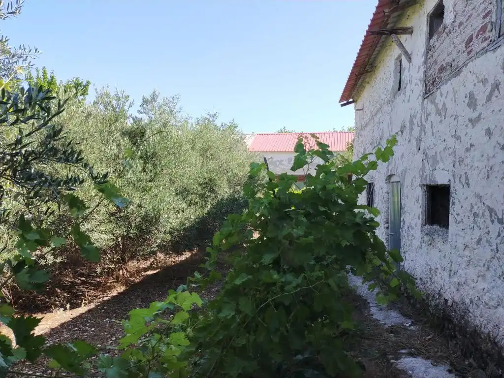 Jardín de Casa o chalet en venta en Villarrubio