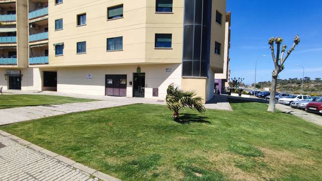Local comercial en Alquiler en Avenida Salamanca en Los Pinos - El Pilar