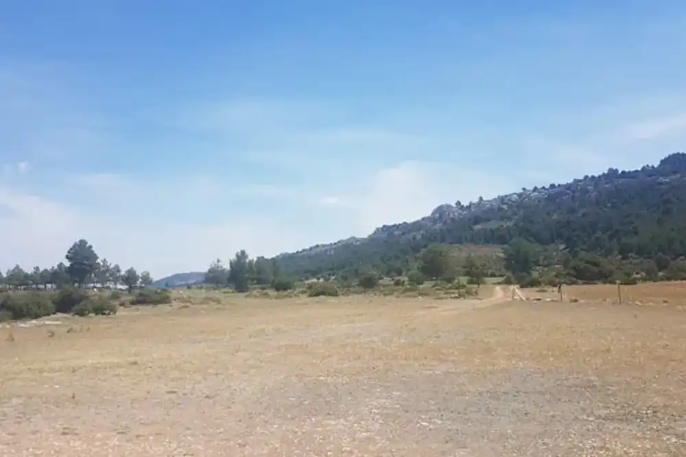 Terreno rústico en venta en Carretera Caravaca, imagen 2