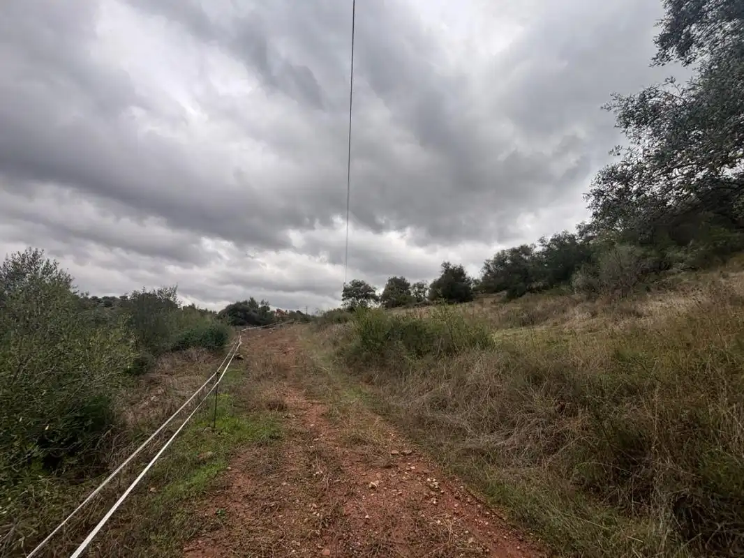 Terreno rústico en venta en C. Chimanes, imagen 5