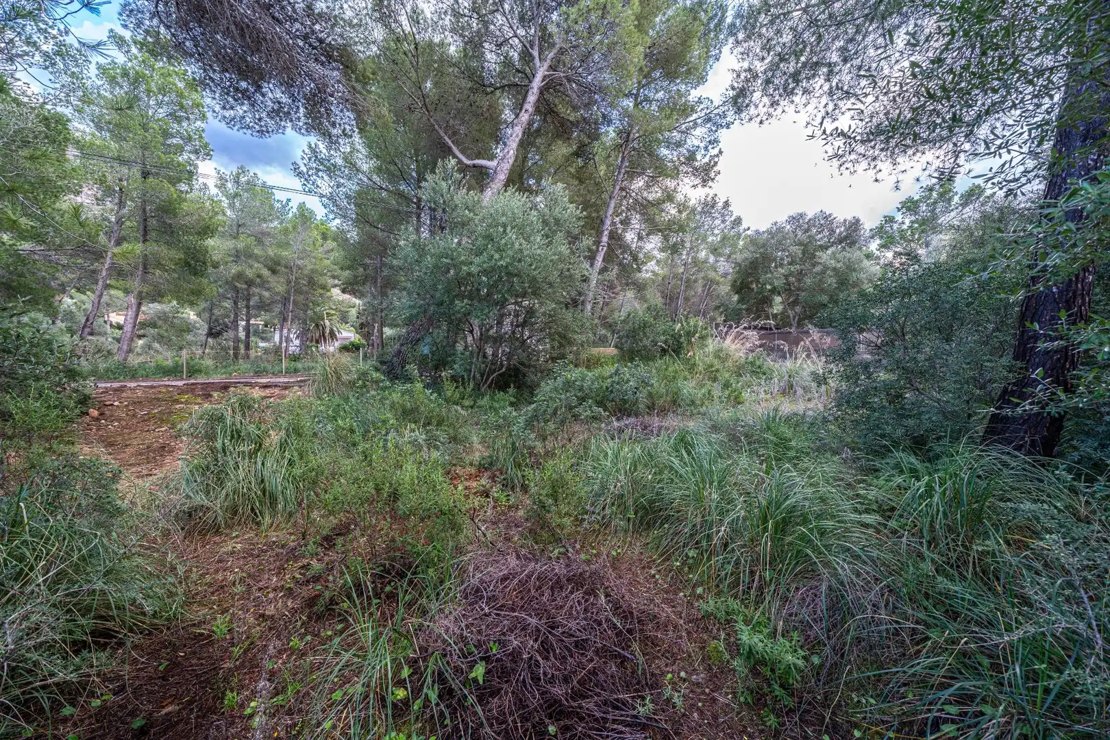 Terreny rústic en venda a Colònia de Sant Pere, imagen 17