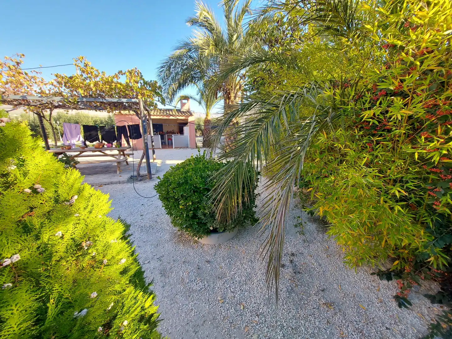 Jardín de Finca rústica en venta en Calasparra con Jardín privado y Piscina