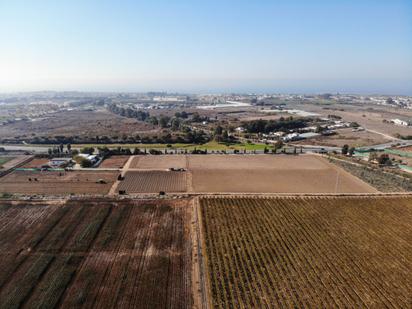 Finca rústica en venda en Chipiona amb Jardí privat i Terrassa