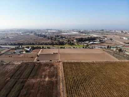 Finca rústica en venda en Chipiona amb Terrassa