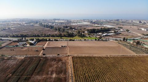 FINCA RÚSTICA CON ARBOLES FRUTALES Y CUADRA DE CABALLOS