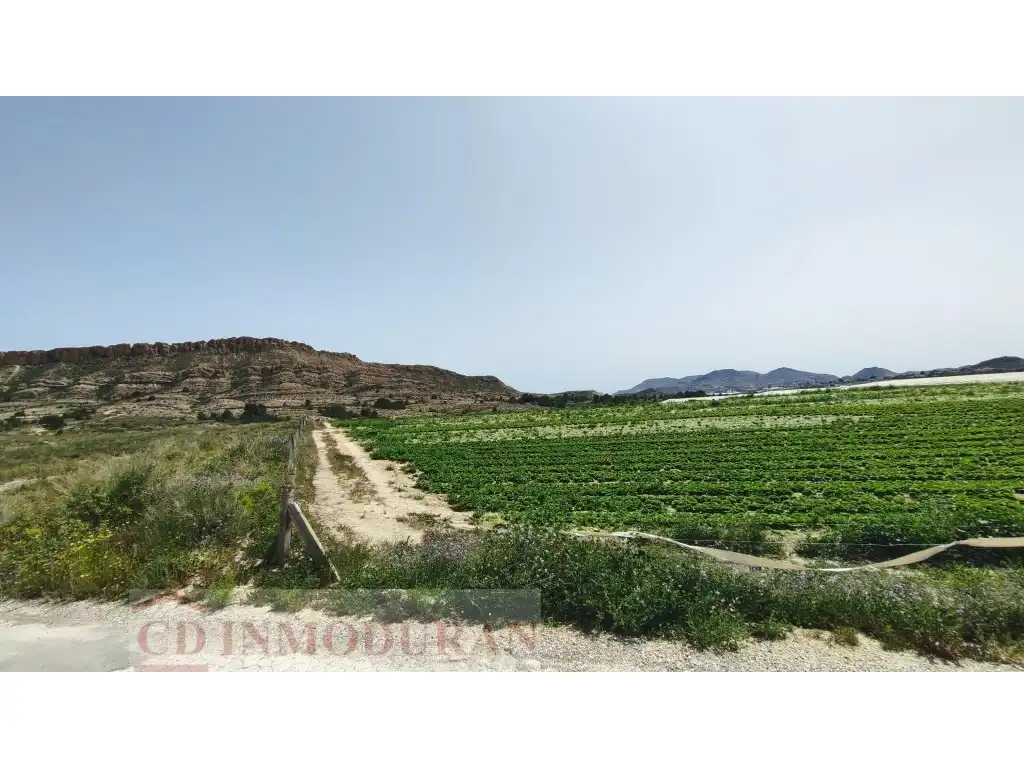 Terreno rustico in vendita a Carrer Ibi, imagen 7