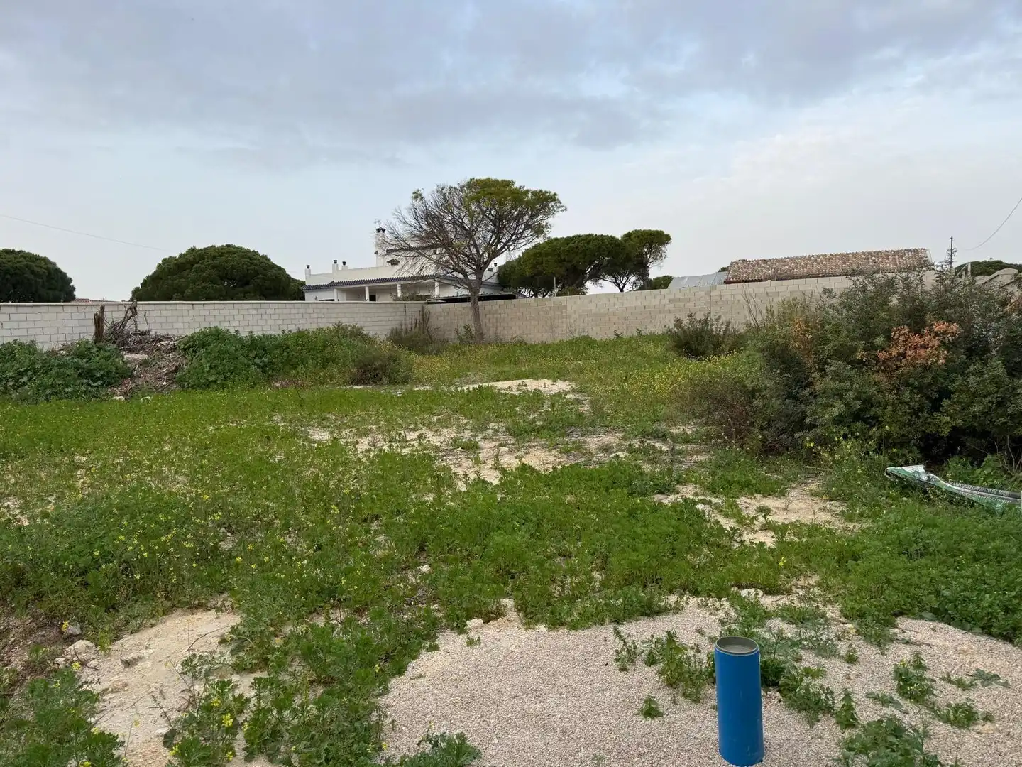 Rustikales Grundstück zum Verkauf in Las Lagunas - Campano, imagen 4