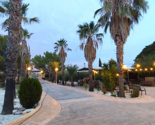 House or chalet for sale in Calle Cordel de los Valencianos, Los Valientes