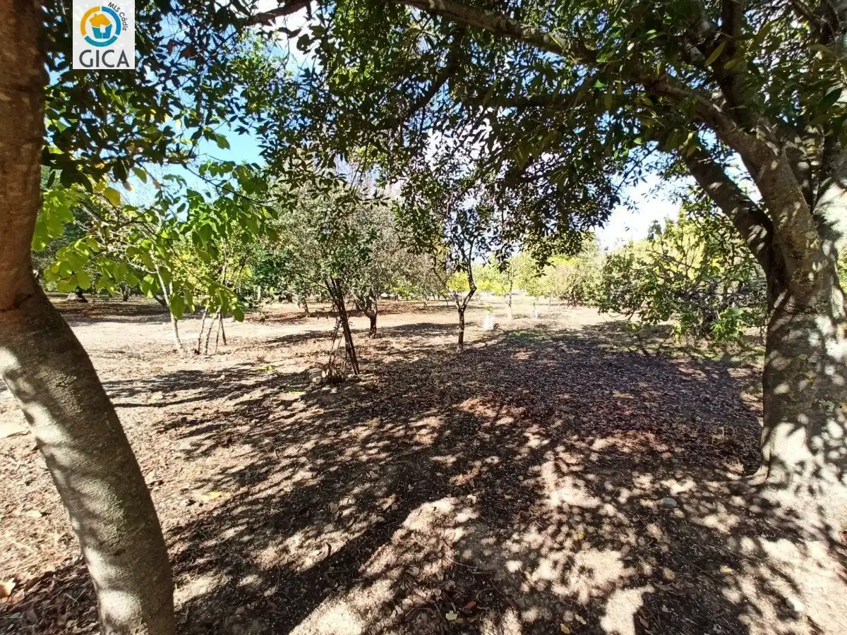 Casa rústica en venda a El Bosque, imagen 20