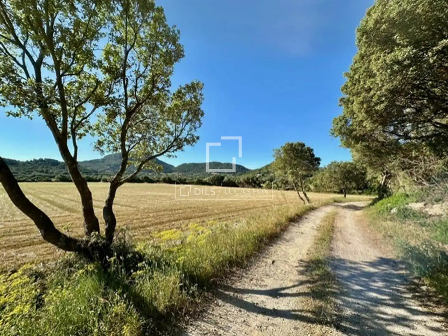 Casa rústica con jardín en venta en Es Mercadal poble, imagen 15
