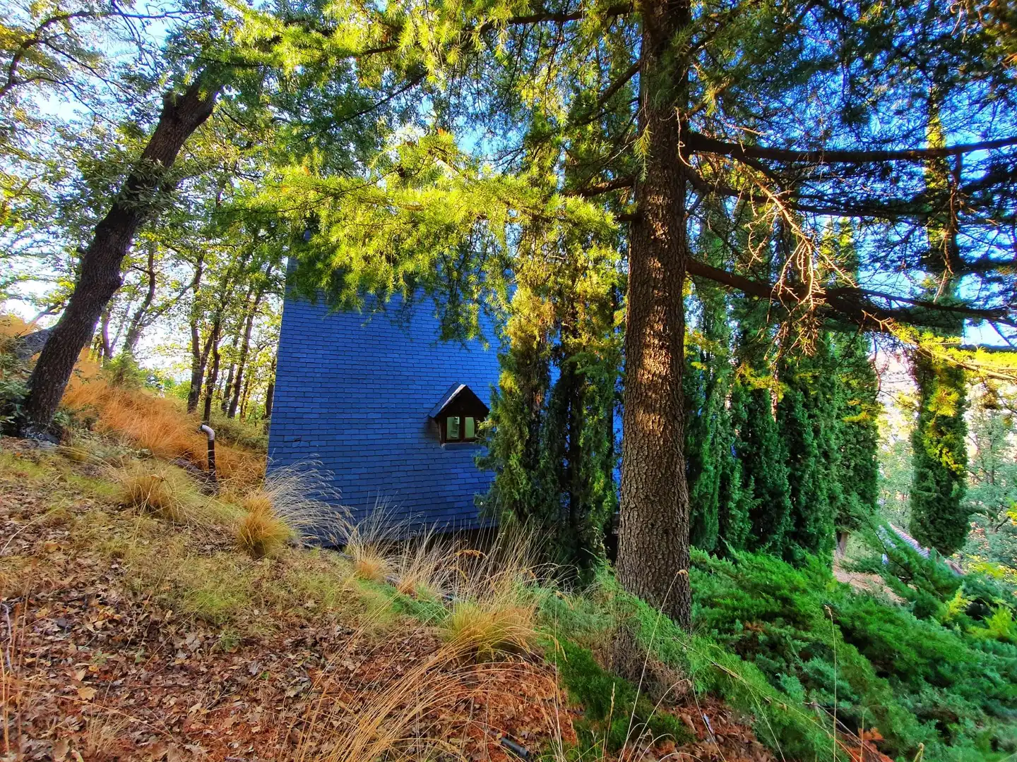 Vista exterior de Casa o chalet en venta en Güéjar Sierra con Calefacción, Jardín privado y Terraza